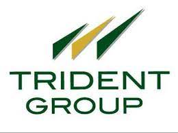 trident share price prediction